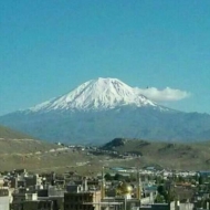 Ø«Ø±ÛŒØ§ Ù…Ø­Ù…Ø¯ÛŒ